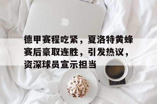 包含德甲赛程吃紧，夏洛特黄蜂赛后豪取连胜，引发热议，资深球员宣示担当的词条